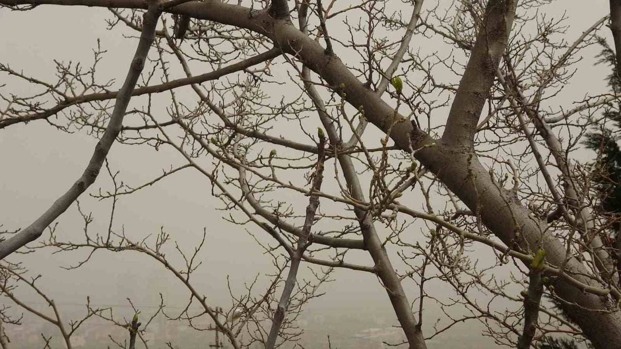 KİLİS’TE SURİYE’DEN GELEN TOZ BULUTU HAYATI OLUMSUZ ETKİLİYOR