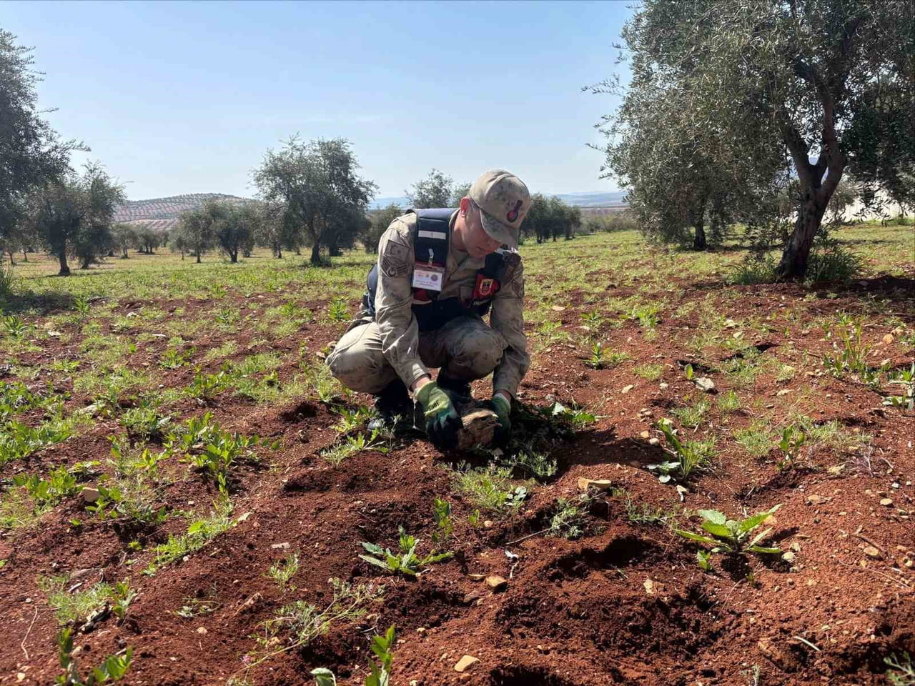 KİLİS’TE YARALI KIZIL ŞAHİN BULUNDU