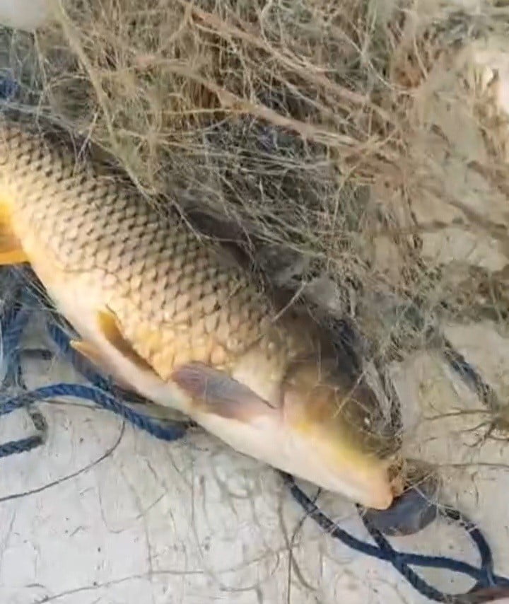 KIRKLARELİ TARIM VE ORMAN İL MÜDÜRLÜĞÜ TEKNİK PERSONELLERİ TARAFINDAN KAYALI BARAJI'NDA...