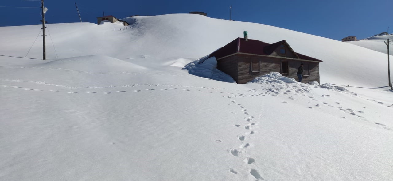 KIŞ UYKUSUNDAN UYANAN AYILAR YAYLA EVLERİNE GİRİP YİYECEK ARAMAYI SÜRDÜRÜYOR. YAYLACILARIN...