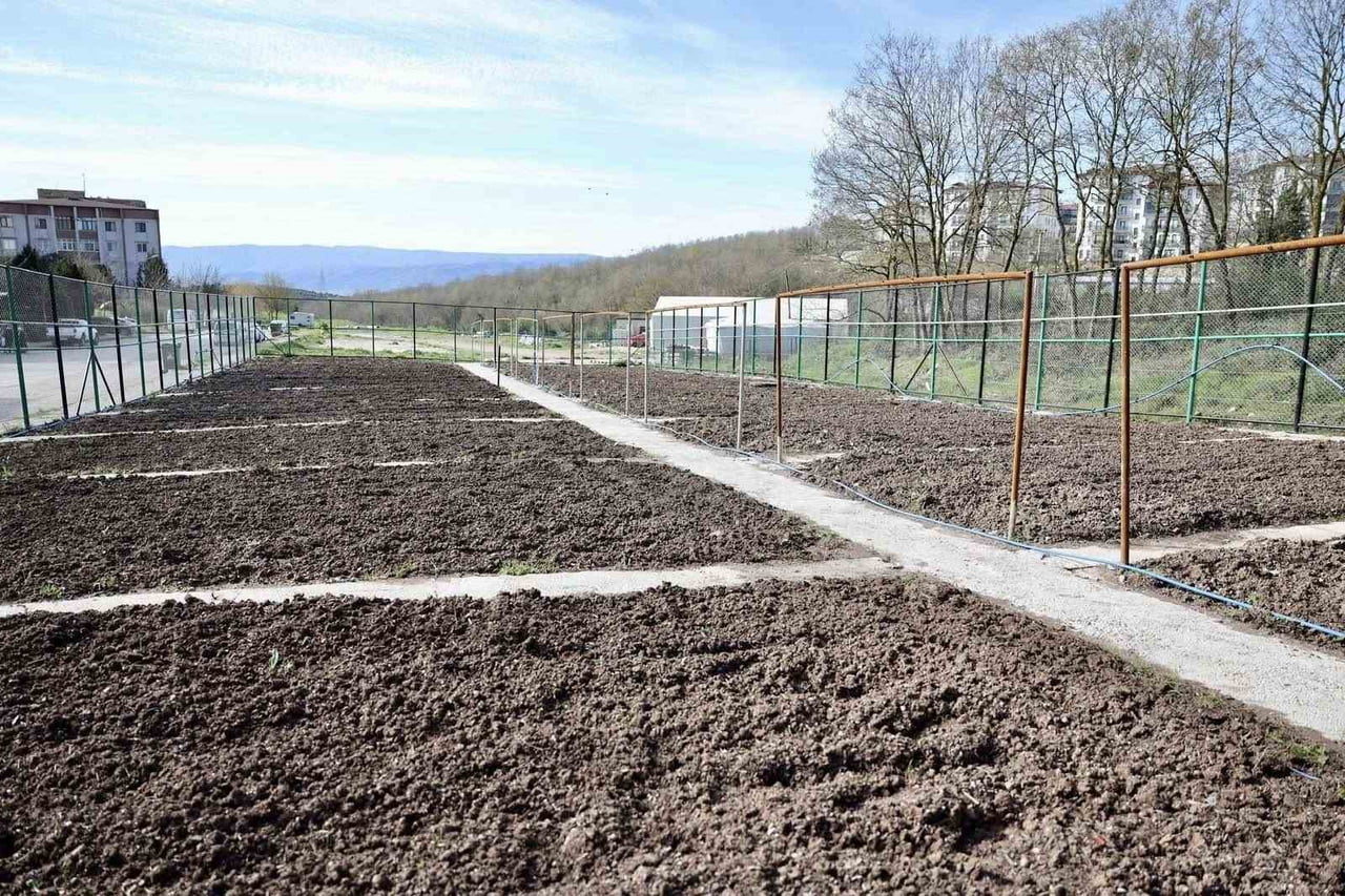 KOCAELİ'NİN KÖRFEZ İLÇESİNDE BELEDİYE TARAFINDAN YAKLAŞIK 1 DÖNÜMLÜK ARAZİDE OLUŞTURULAN ALANDA...