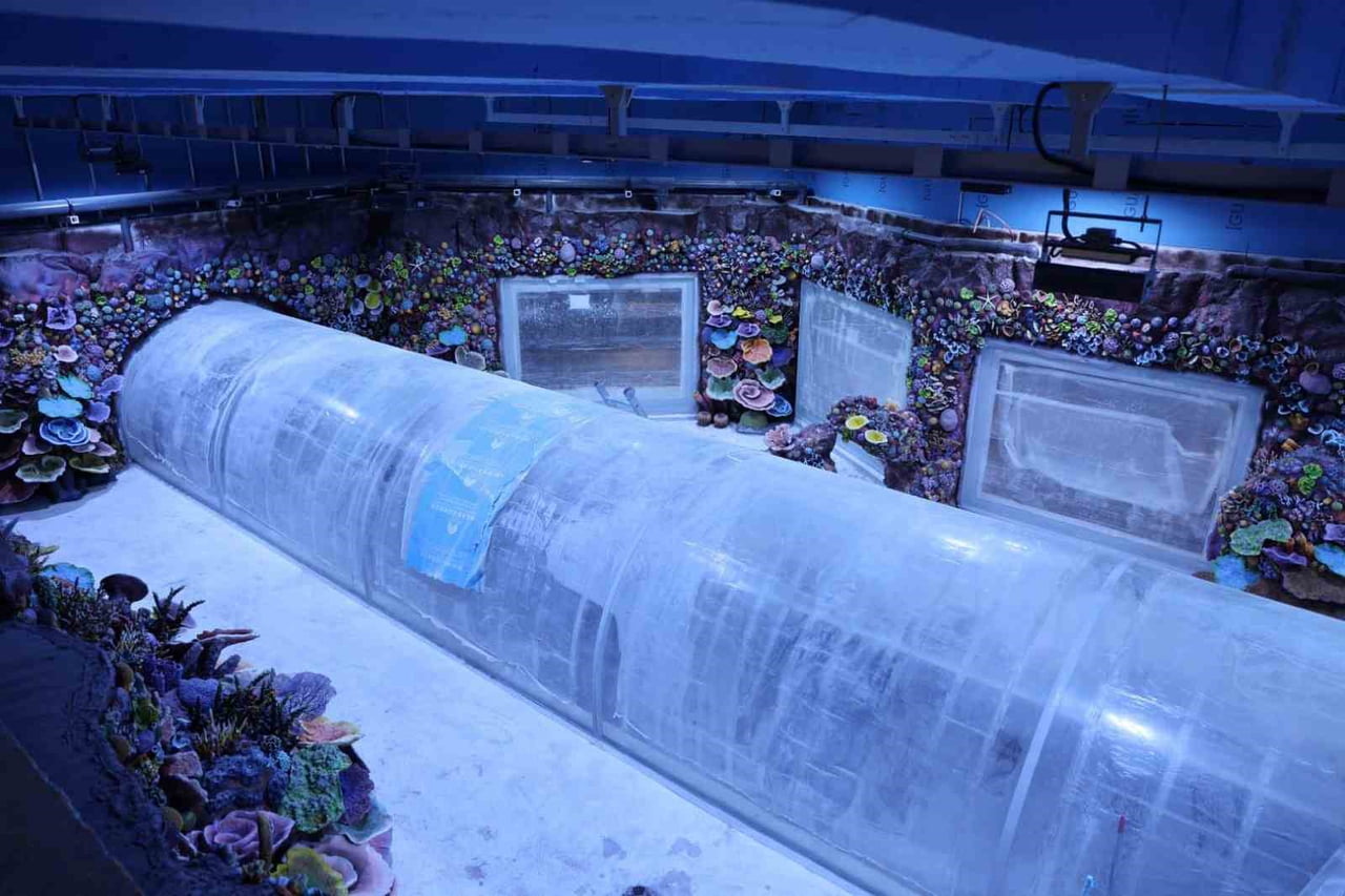 KOCAELİ'YE KAZANDIRILACAK "AKVARYUM PROJESİ’NDE" GERİ SAYIM BAŞLADI. TÜRKİYE’DE İLK OLACAK TATLI...