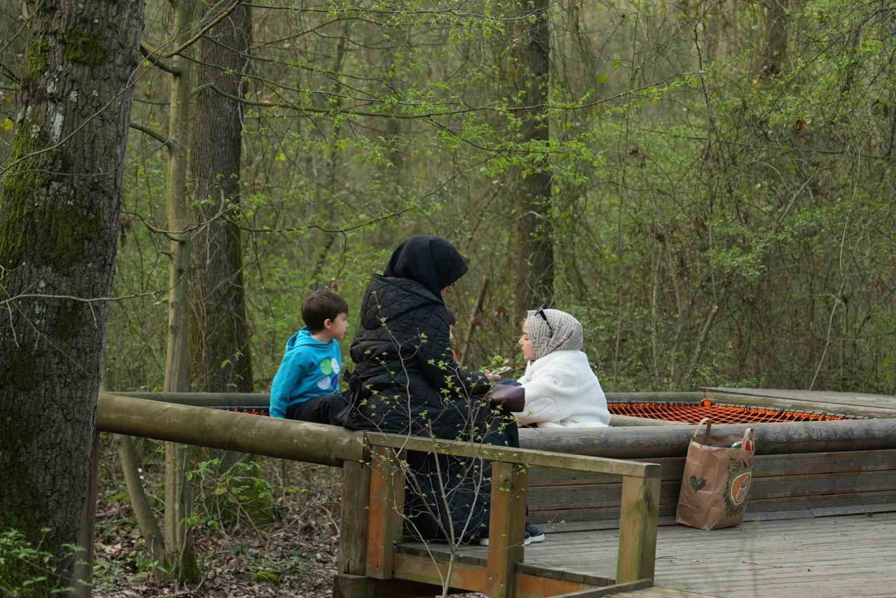 KOCAELİ BÜYÜKŞEHİR BELEDİYESİ BÜNYESİNDE YER ALAN AVRUPA'NIN EN BÜYÜK DOĞAL YAŞAM PARKI ORMANYA...