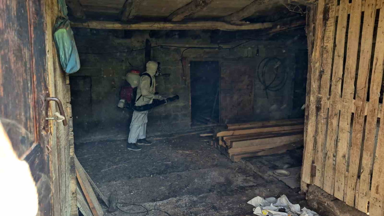 KOKARCAYA KARŞI BARTIN'DA 2023 YILINDA BAŞLATILAN MÜCADELE YOĞUN BİR ŞEKİLDE YÜRÜTÜLÜYOR.