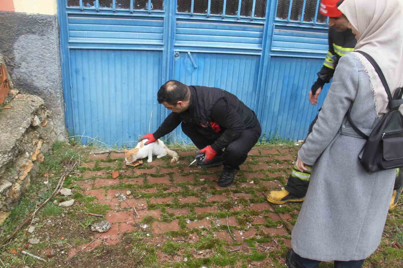 KONYA’NIN BEYŞEHİR İLÇESİNDE AÇLIKTAN BİTKİN DÜŞEN KEDİ İTFAİYE TARAFINDAN KURTARILDI