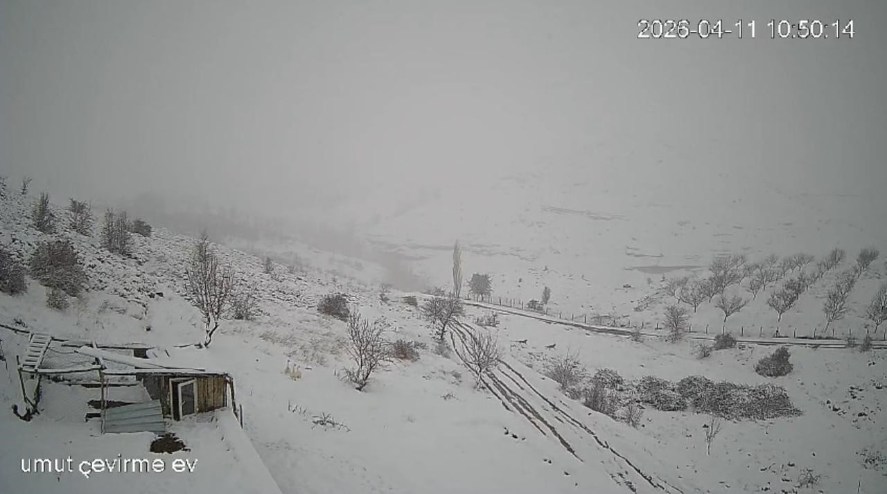 KÖYE İNEN KURT SÜRÜSÜ KAMERAYA YANSIDI