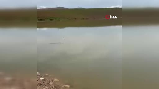 Kuraklıkla kuruma noktasına gelen gölet yağışlarla yeniden canlandı