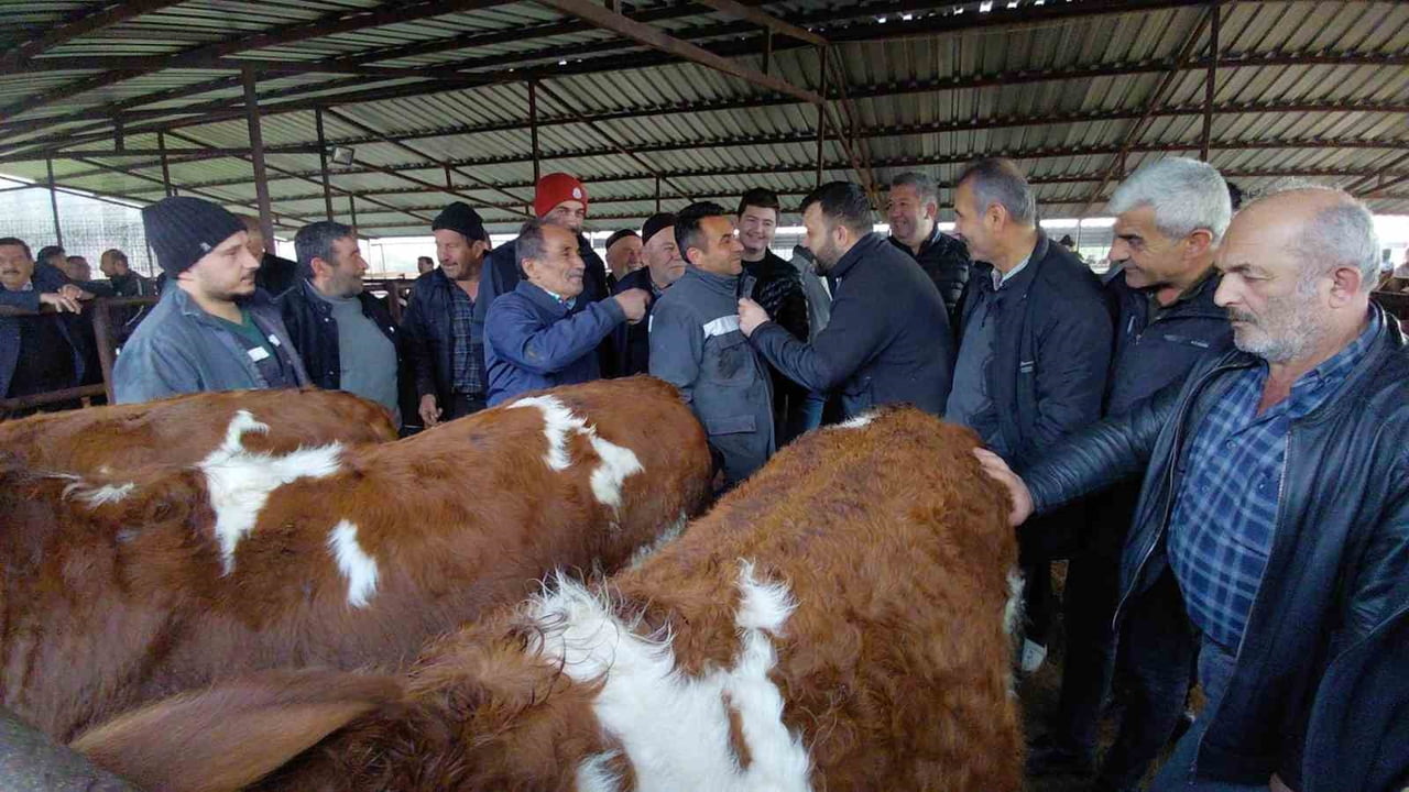 KURBAN BAYRAMI’NA SAYILI GÜNLER KALA BOLU’DAKİ HAYVAN PAZARLARINDA HAREKETLİLİK ARTMAYA BAŞLADI....