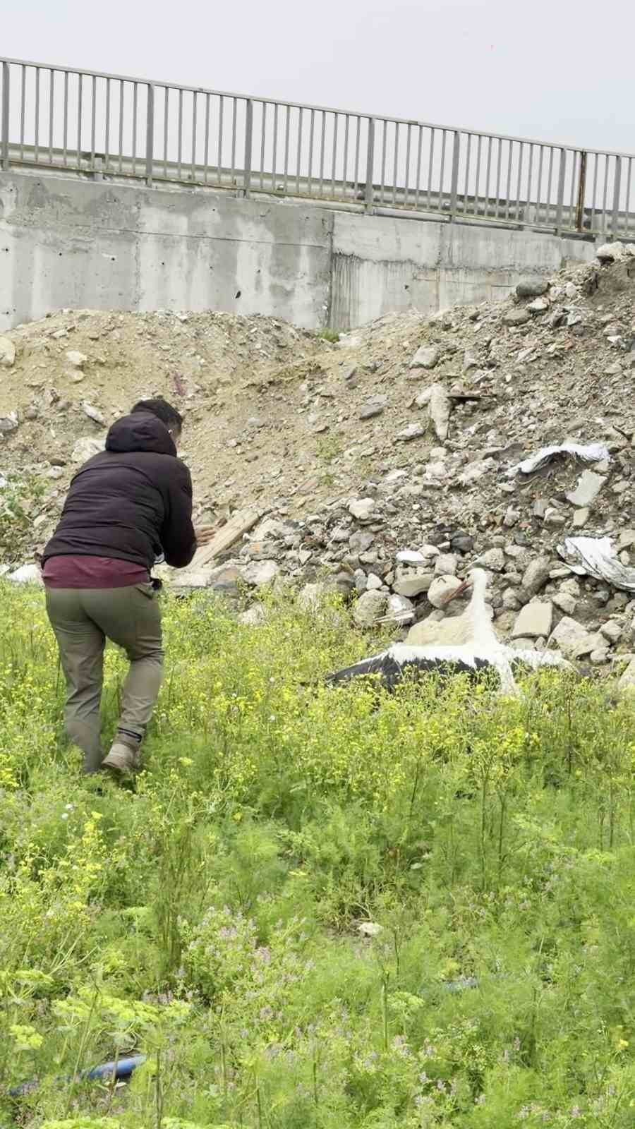 KUŞ GÖZLEMCİSİ EROL YÜKSEK, YAŞAMAK İÇİN BİNLERCE KİLOMETRE YOL KAT EDEN LEYLEĞE ATEŞ EDENLERE...