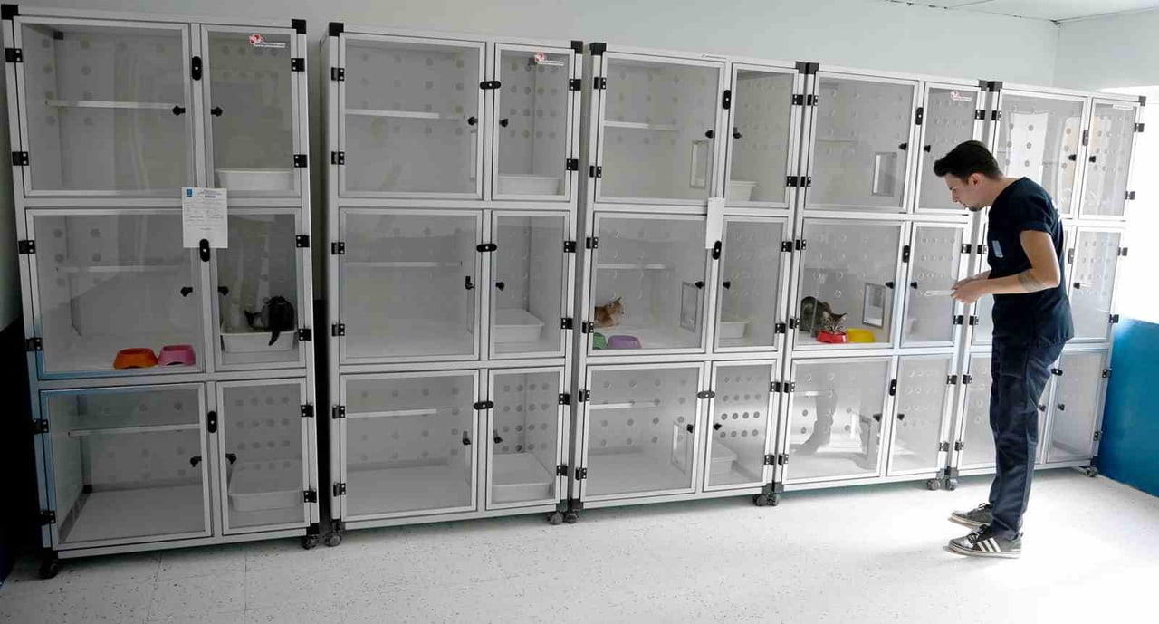 KUŞADASI BELEDİYESİ PATİLİ DOSTLARIN HER ZAMAN YANINDA