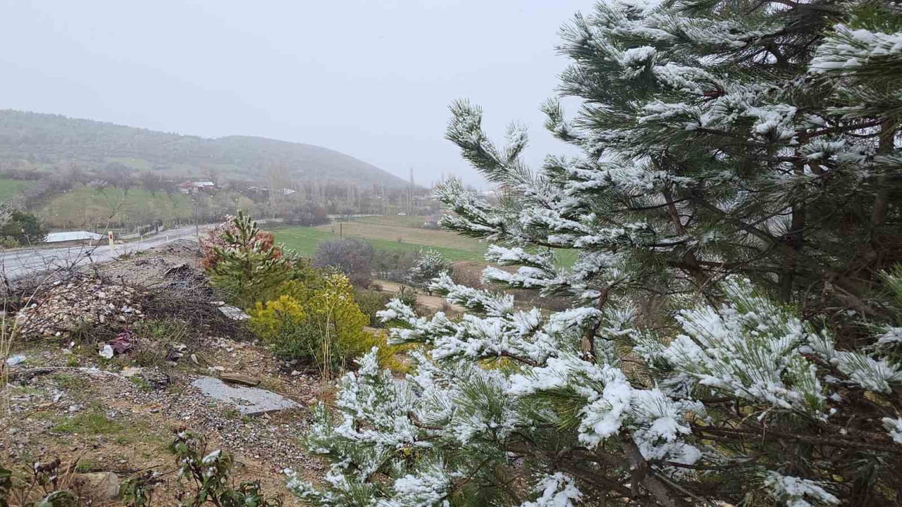 KÜTAHYA'DA NİSAN KARI ÜRETİCİLERİ ENDİŞELENDİRDİ