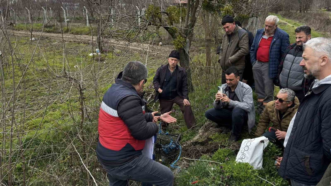 KÜTAHYA’DA MEYVE ÜRETİCİLERİNE BUDAMA VE AŞILAMA EĞİTİMİ