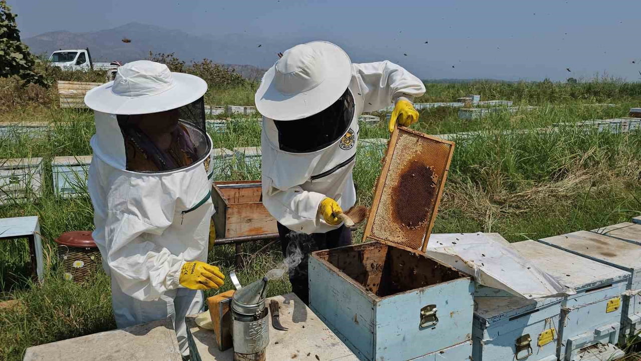 KUYUCAK'TAN DÜNYAYA KOVAN İHRACATI
