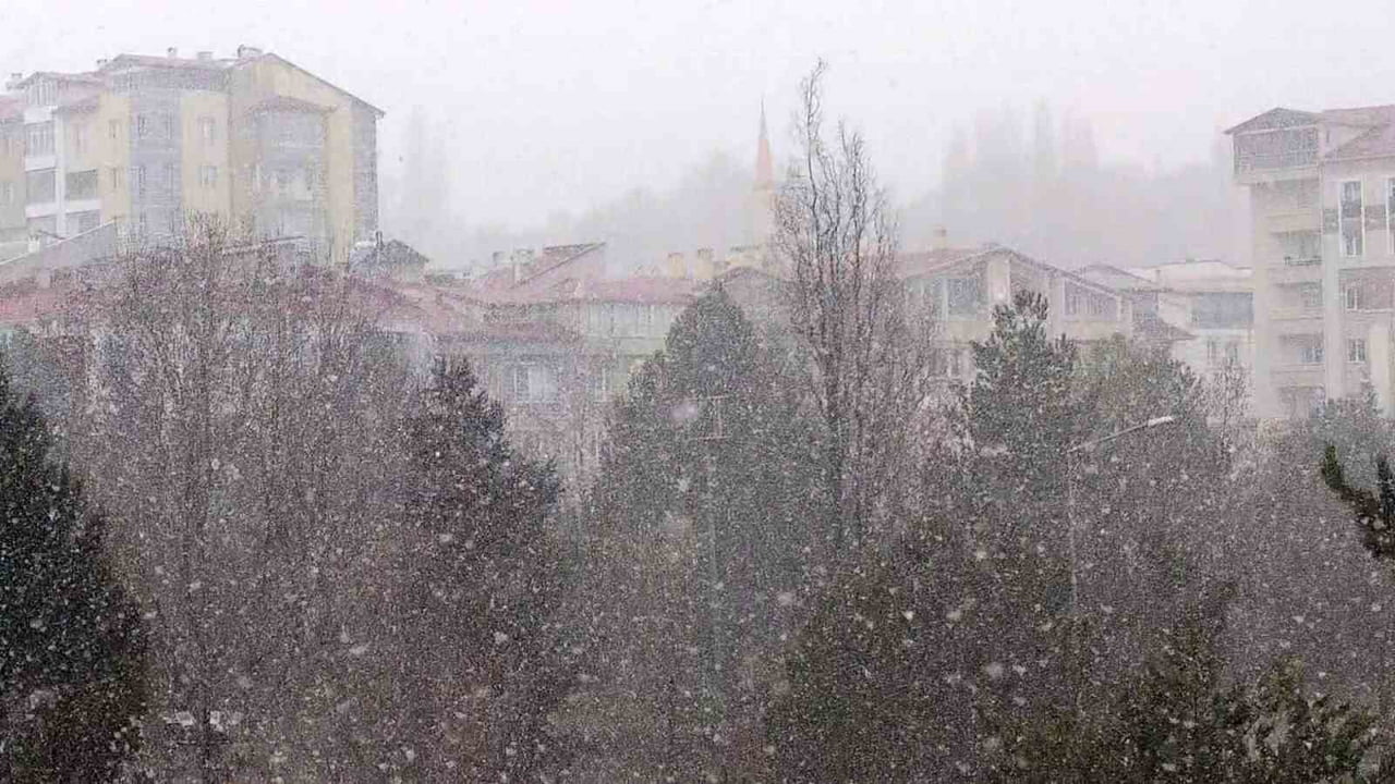 LEYLEKLER, SİVAS'TA KAR SÜRPRİZİ İLE KARŞILAŞTI.