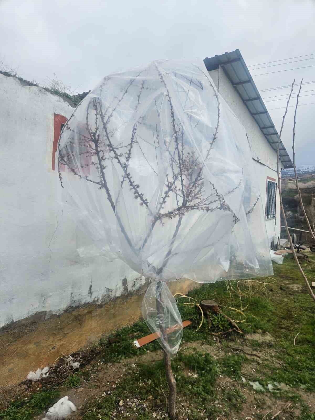 MALATYA’DA KAYISI ÜRETİCİLERİ ZİRAİ DON İÇİN ALARMA GEÇTİ