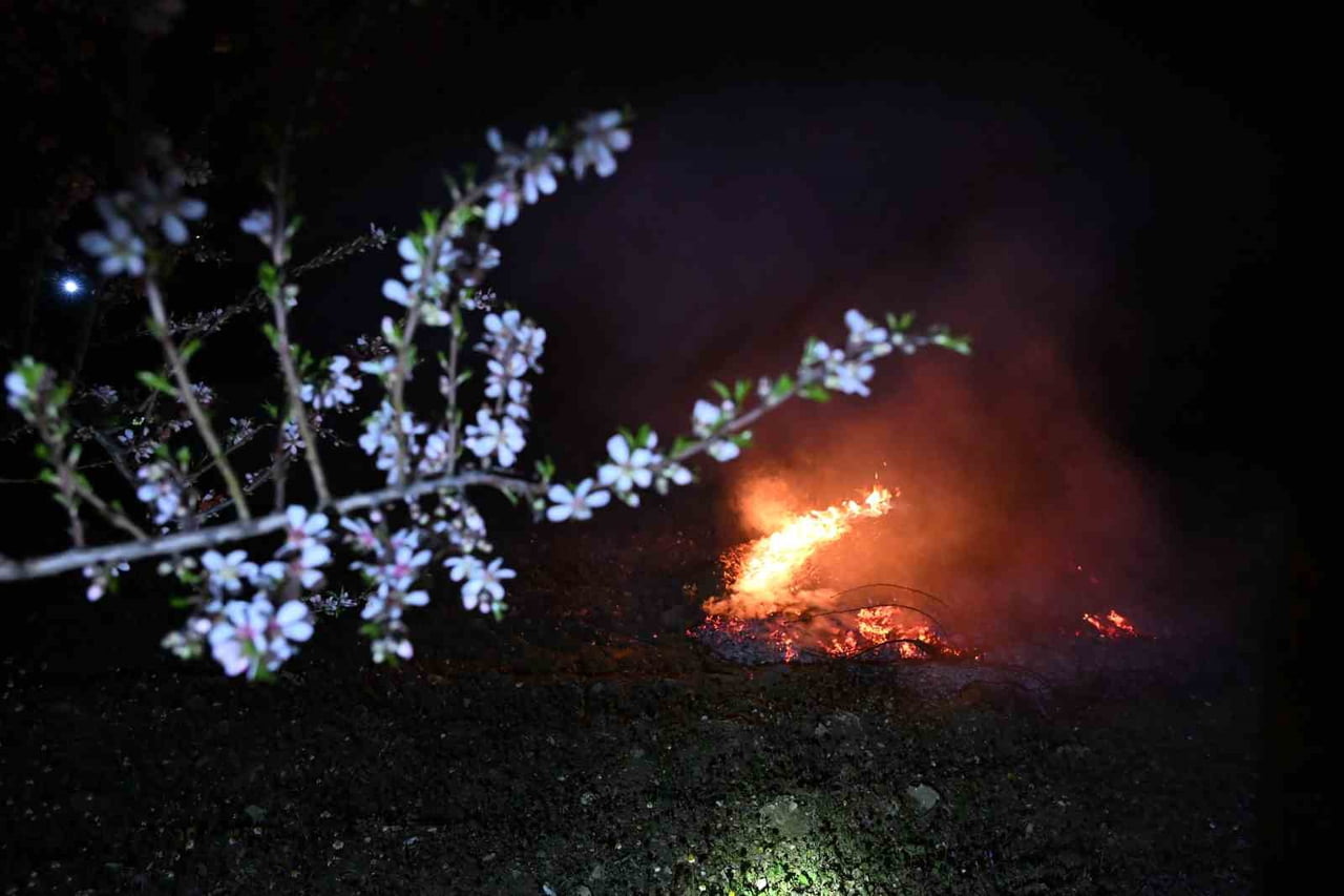 MANİSA'NIN DEMİRCİ İLÇESİNDE HAVA SICAKLIKLARININ SIFIRIN ALTINDA 3 DERECEYE KADAR DÜŞMESİYLE...