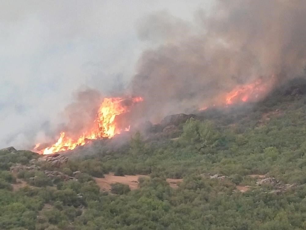 MANİSA’NIN SALİHLİ İLÇE KAYMAKAMLIĞI, ORMAN YANGINLARININ ÖNLENMESİ AMACIYLA ÖNEMLİ BİR KARAR...