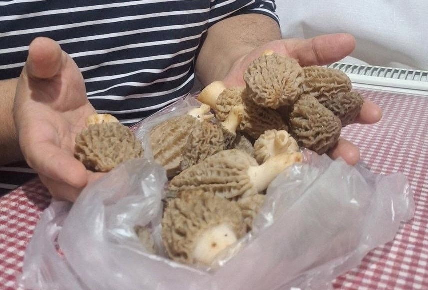 MANİSA’NIN SARIGÖL İLÇESİ VE ÇEVRESİNDE ETKİLİ OLAN BEREKETLİ YAĞIŞLARIN ARDINDAN DOĞADA...