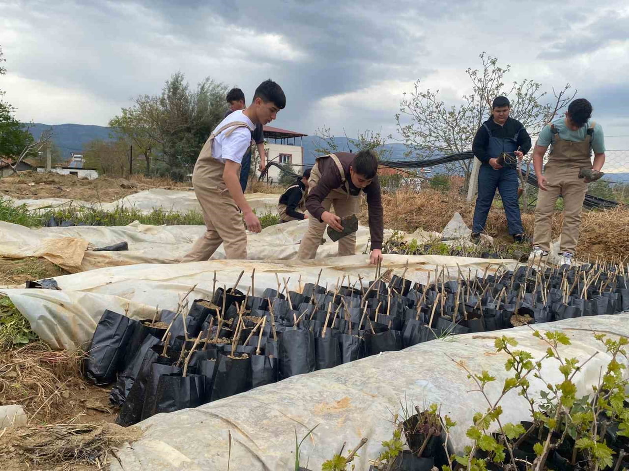MANİSA’NIN SARIGÖL İLÇESİNDE LİSE ÖĞRENCİLERİ, YOK OLMAYA YÜZ TUTAN EMCELLİ BİBERİNİ YENİDEN...