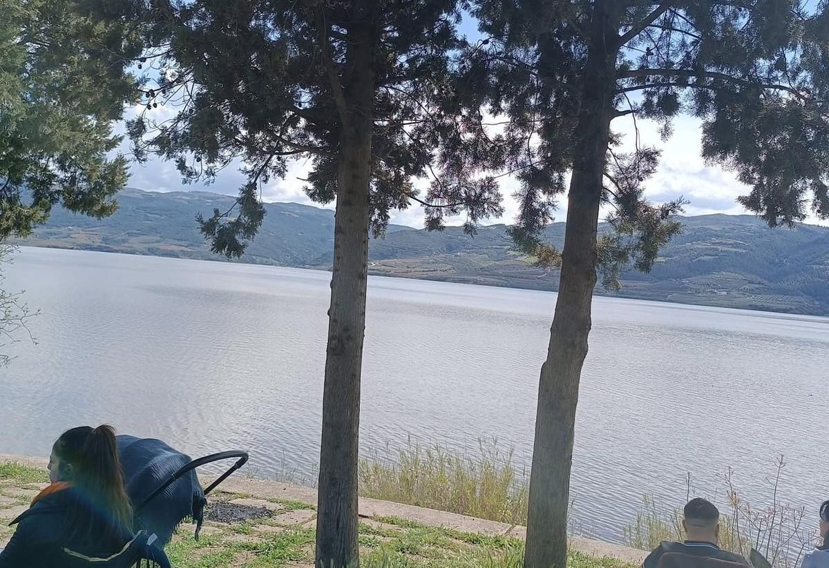 MANİSA’NIN SARIGÖL VE ALAŞEHİR OVALARINDA ÜRETİCİLERİN YÜZÜ GÜLDÜ. SON YAĞIŞLARLA BİRLİKTE...