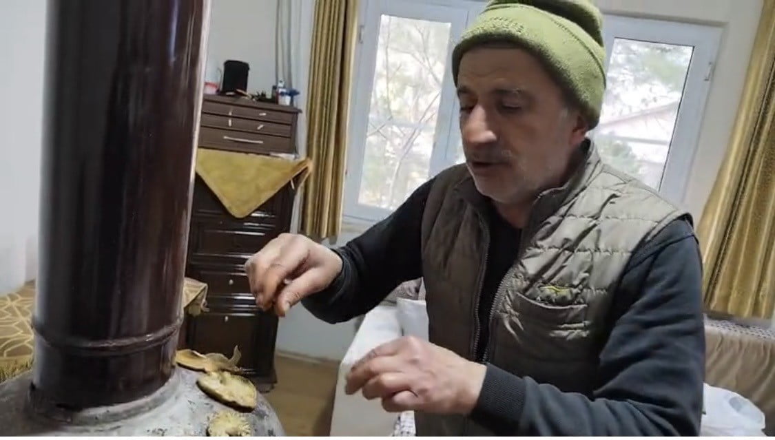 MANTAR TOPLAYAN BAYRAM GÜLABİ, "ÇAYIR MANTARI ÇOK LEZZETLİDİR. SOBA ÜZERİNDE PİŞİRİLEN MANTARLARI...