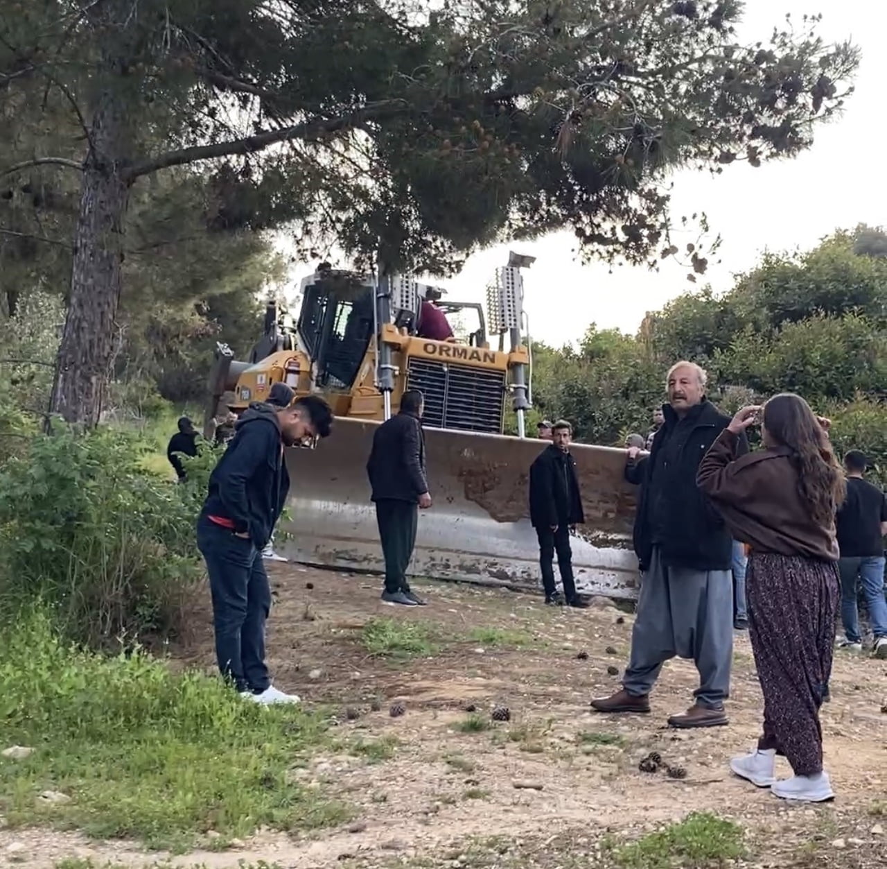 MERSİN’DE İDDİAYA GÖRE ORMANLIK ALANA OLUŞTURULAN NARENCİYE BAHÇELERİNİN KALDIRILMASINA YÖNELİK...