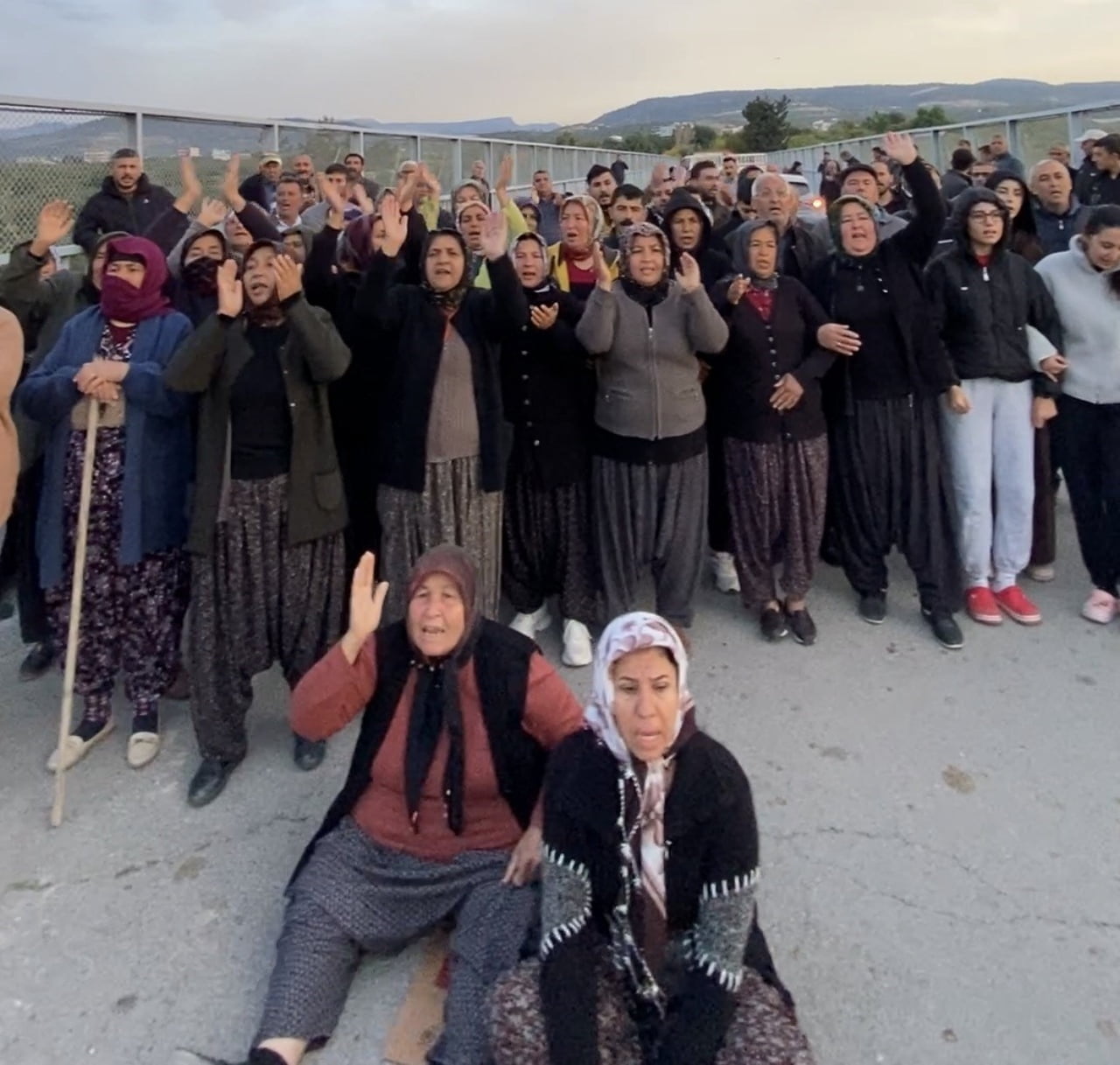 MERSİN’DE İDDİAYA GÖRE ORMANLIK ALANA OLUŞTURULAN NARENCİYE BAHÇELERİNİN KALDIRILMASINA YÖNELİK...