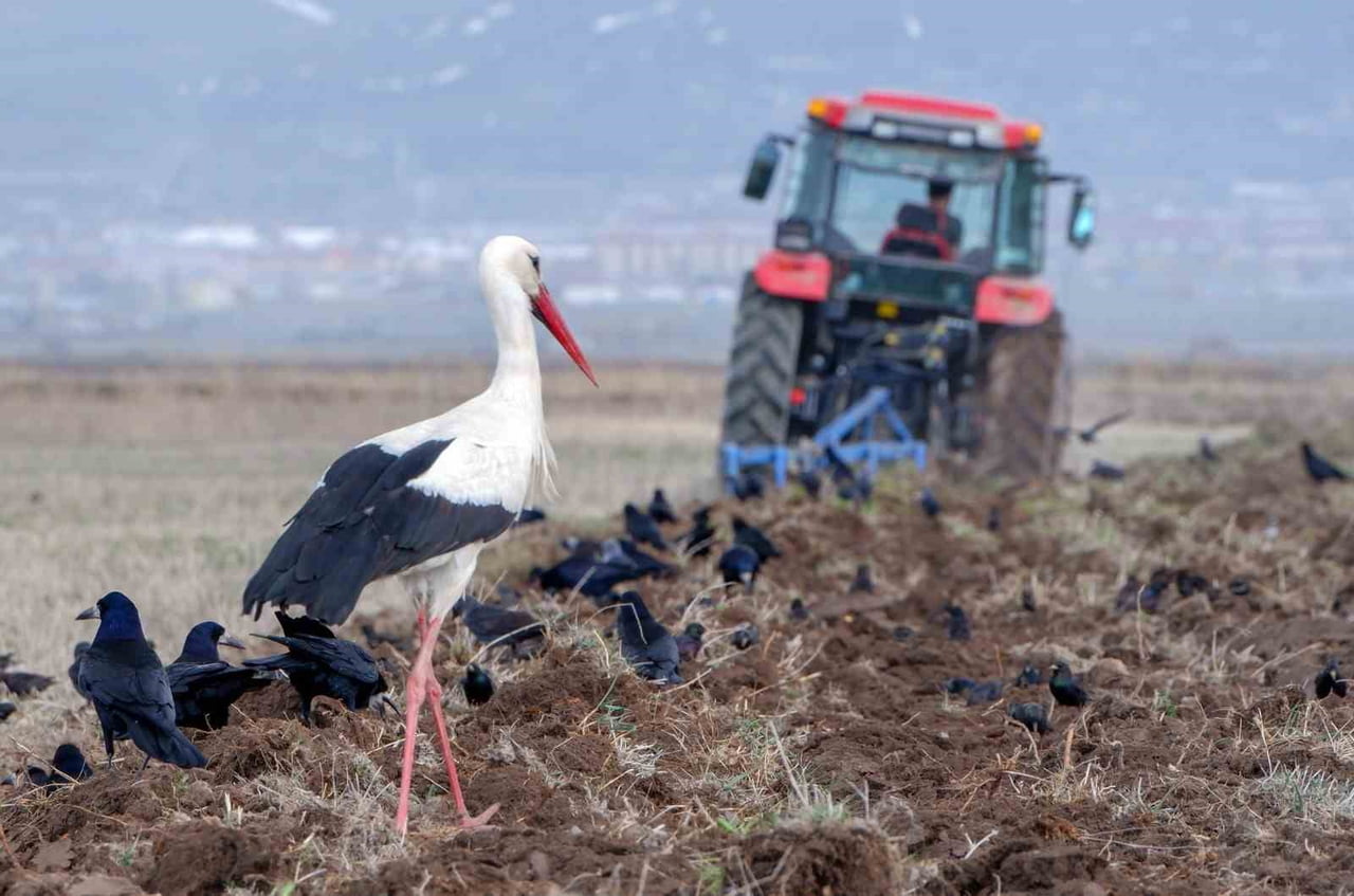 METEOROLOJİ 12. BÖLGE MÜDÜRLÜĞÜ BÖLGE TAHMİN VE ERKEN UYARI MERKEZİNCE ZİRAİ DON UYARISI...