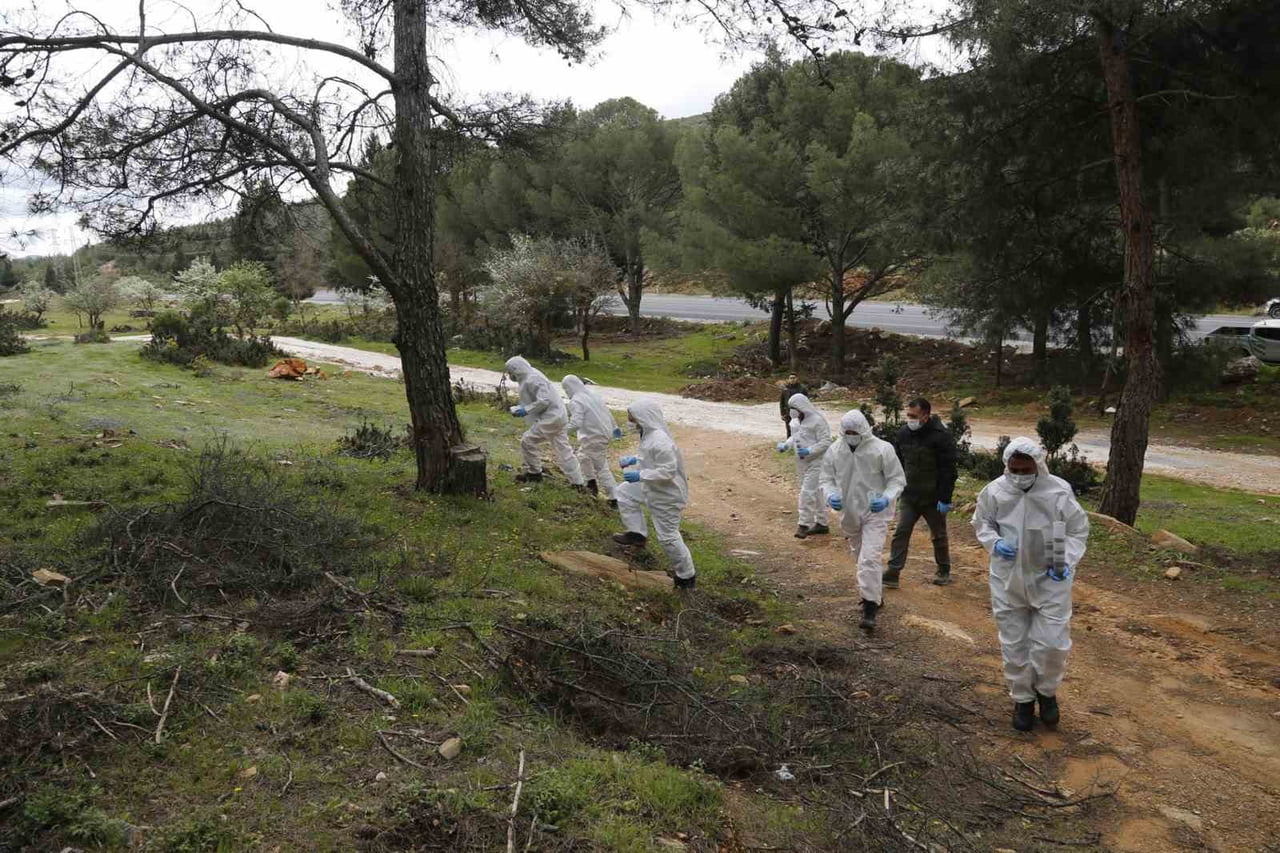 MUĞLA’DA ORMAN VARLIĞINI TEHDİT EDEN ZARARLILARA KARŞI YÜRÜTÜLEN MÜCADELEDE, ORMAN BÖLGE...