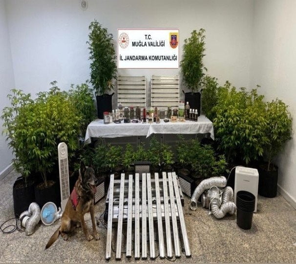 MUĞLA JANDARMASI'NDAN KAÇAKÇILARA DARBE: 15. YÜZYILA AİT TEVRAT ELE GEÇİRİLDİ