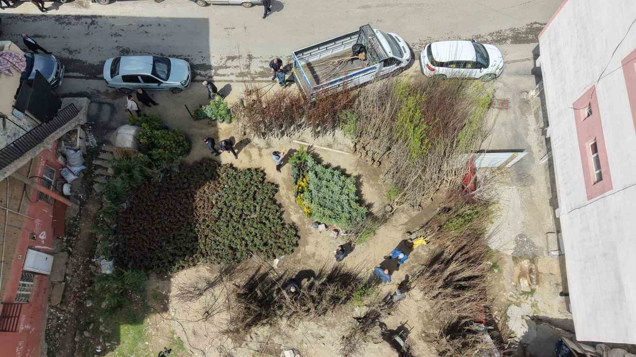 MUŞ’TA DİKİME HAZIR YAKLAŞIK 30 ÇEŞİT MEYVE FİDANI, 250 İLE BİN 500 TL ARASINDA DEĞİŞEN FİYATLARLA...