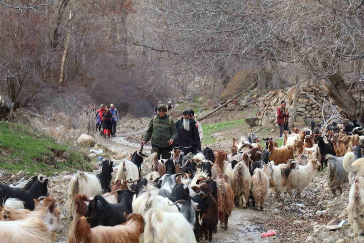 OLTU İLÇESİNDE DOĞASEVERLER, BAHARIN GELİŞİYLE BİRLİKTE DÜZENLENEN YÜRÜYÜŞ ETKİNLİĞİNDE BİR ARAYA...