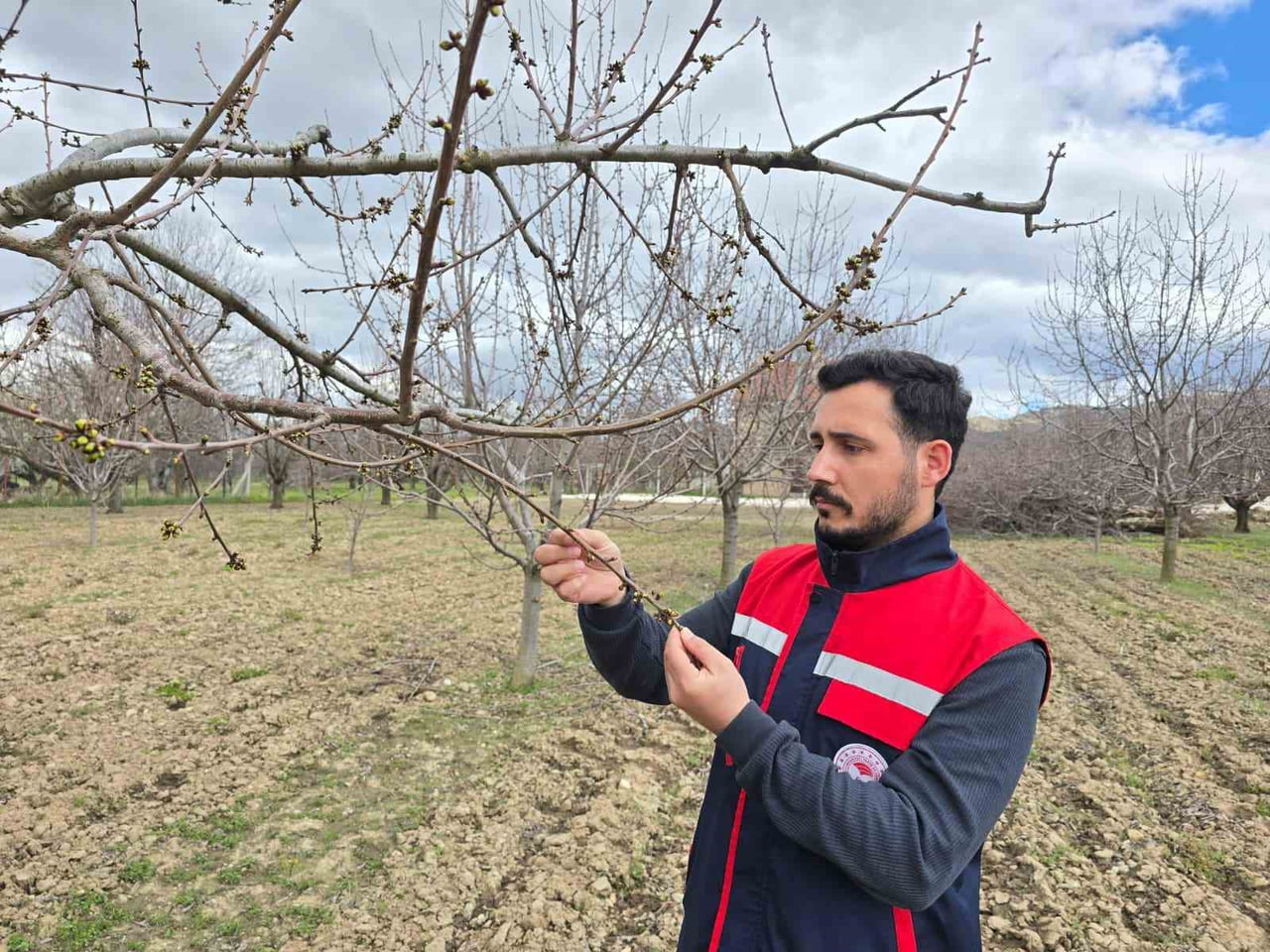 OLUMSUZ HAVA ŞARTLARININ DEVAM ETTİĞİ AFYONKARAHİSAR’DA YAŞANABİLECEK ZİRAİ DON OLAYLARINA KARŞI...