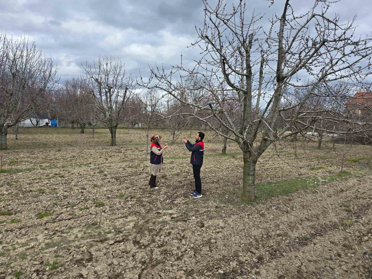 OLUMSUZ HAVA ŞARTLARININ DEVAM ETTİĞİ AFYONKARAHİSAR’DA YAŞANABİLECEK ZİRAİ DON OLAYLARINA KARŞI...
