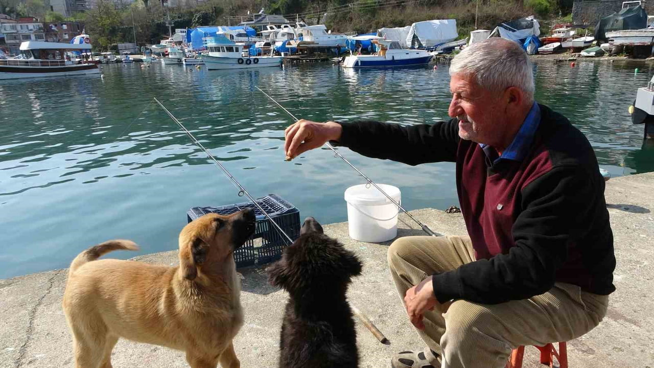 ORDU’NUN PERŞEMBE İLÇESİNDE YAŞAYAN 66 YAŞINDAKİ BÜLENT ŞAHİN, EMEKLİLİK HAYATINI OLTA BALIKÇILIĞI...