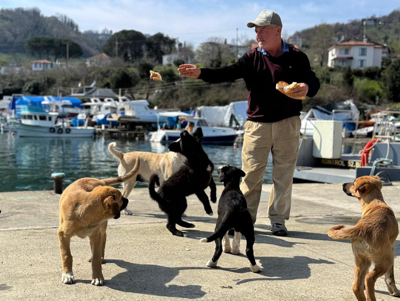 ORDU’NUN PERŞEMBE İLÇESİNDE YAŞAYAN 66 YAŞINDAKİ BÜLENT ŞAHİN, EMEKLİLİK HAYATINI OLTA BALIKÇILIĞI...