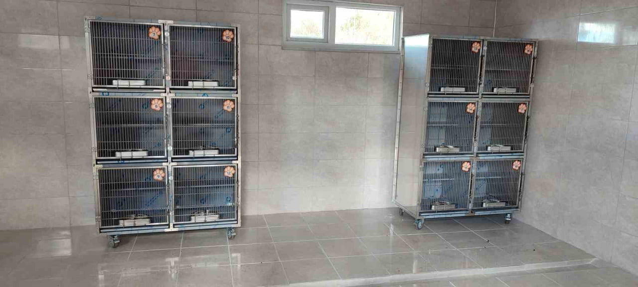 ORDU’NUN ÜNYE İLÇESİNDE SAHİPSİZ SOKAK HAYVANLARI İÇİN YAPIMI SÜRDÜRÜLEN BARINAK, REHABİLİTASYON...