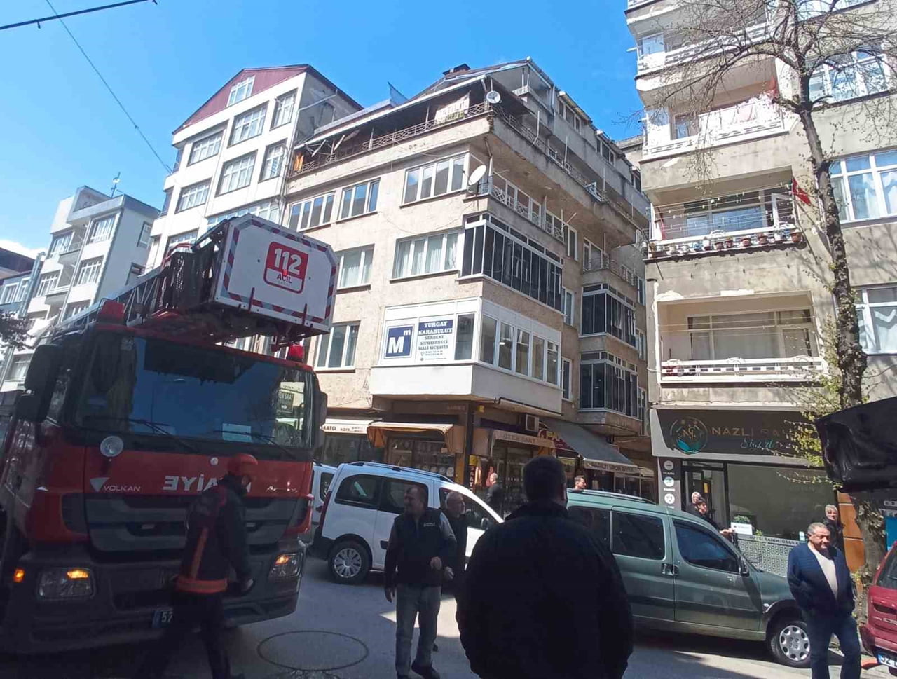 ORDU’NUN ÜNYE İLÇESİNDE SOKAK KÖPEKLERİNDEN KAÇARKEN AĞACA SIĞINAN VE ORADA MAHSUR KALAN KEDİYİ...