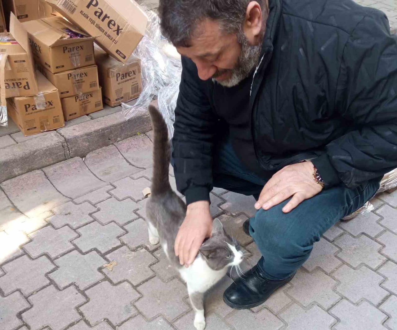 ORDU’NUN ÜNYE İLÇESİNDE SOKAK KÖPEKLERİNDEN KAÇARKEN AĞACA SIĞINAN VE ORADA MAHSUR KALAN KEDİYİ...