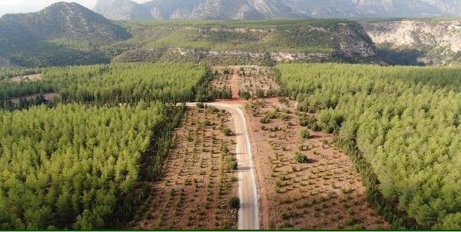 ORMAN YANGINLARINA KARŞI DAHA DİRENÇLİ BİR YAPI OLUŞTURMAK AMACIYLA BAŞLATILAN ÇALIŞMALAR...