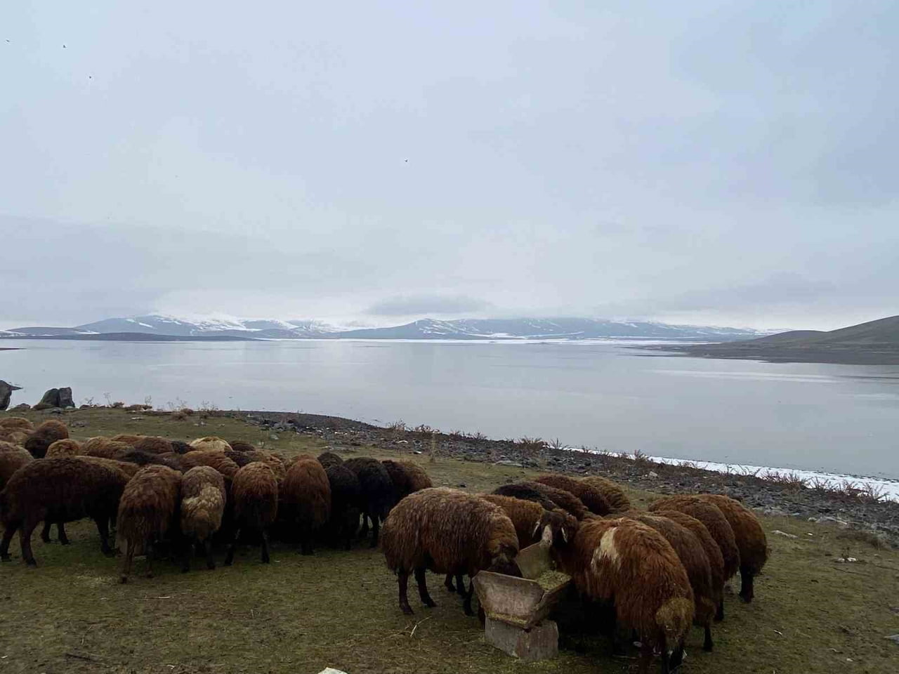 PATNOS BARAJINDA SU SEVİYESİ YÜKSELDİ
