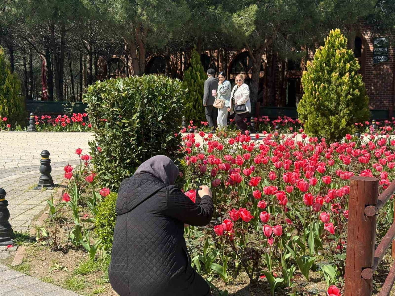 PENDİK KORUSU BİNLERCE LALE, NERGİS VE SÜMBÜLLE BİRLİKTE ZİYARETÇİLERİNE KAPILARINI...