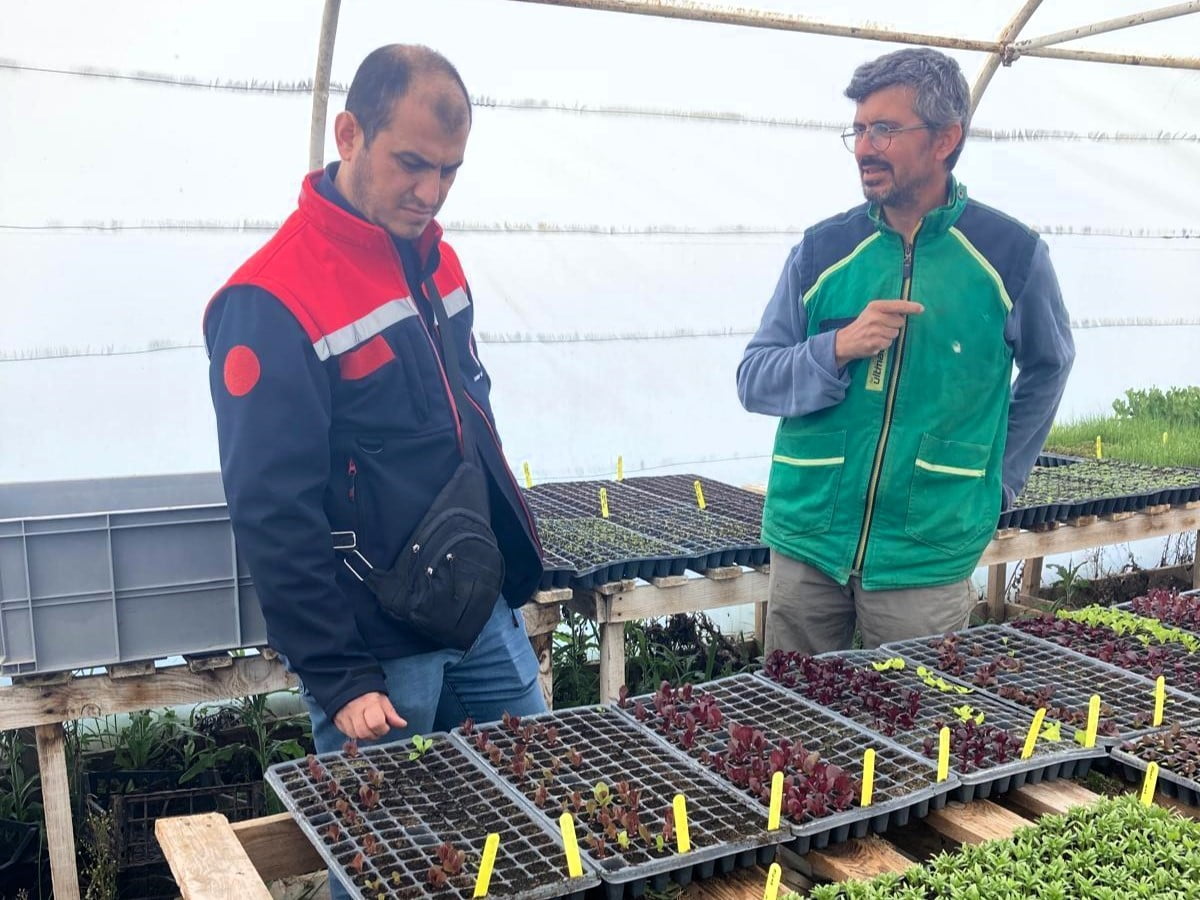 PINARHİSAR İLÇE TARIM VE ORMAN MÜDÜRÜ İBRAHİM YILMAZ, SERALARDA YETİŞTİRİLEN SALATALIK, DOMATES VE...