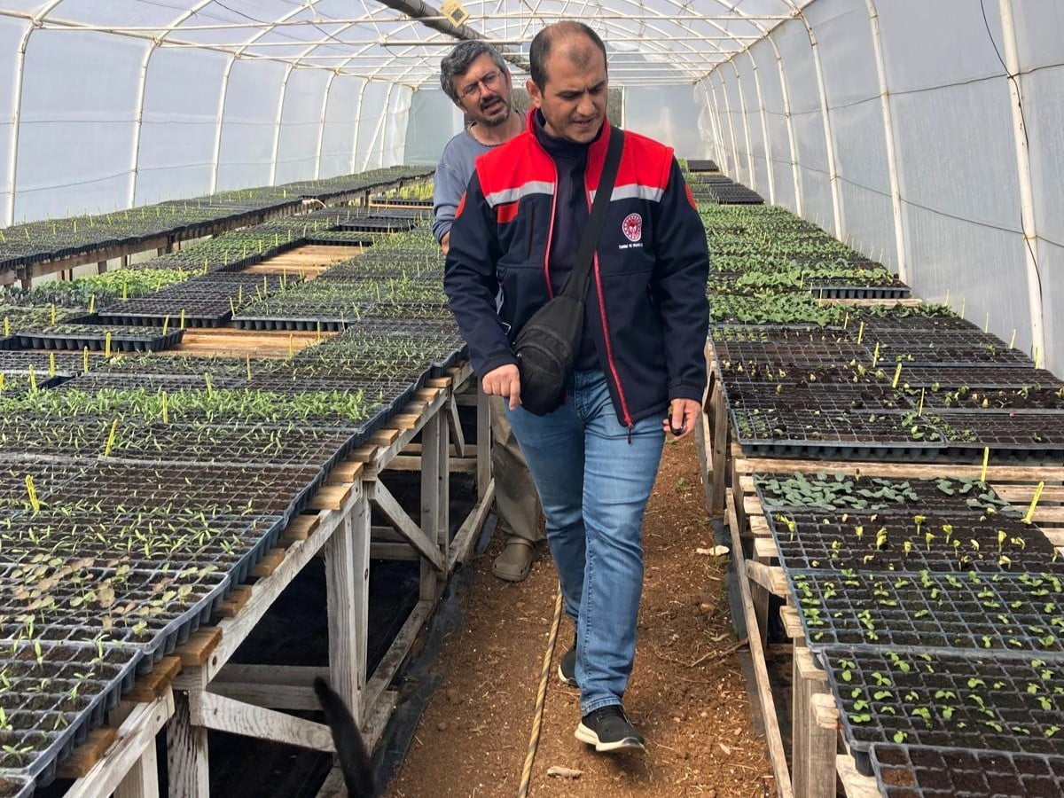 PINARHİSAR İLÇE TARIM VE ORMAN MÜDÜRÜ İBRAHİM YILMAZ, SERALARDA YETİŞTİRİLEN SALATALIK, DOMATES VE...