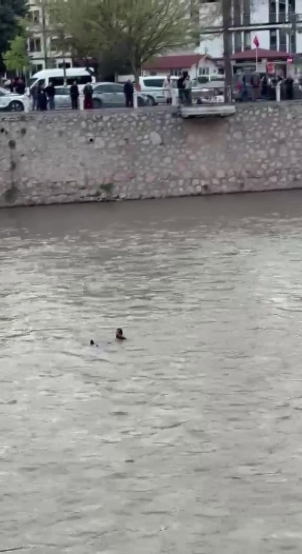POLİS EKİBİNİN İKNA ÇABALARINA RAĞMEN SUYA ATLADI. ÇEVREDEKİLERİN KORKU DOLU BAKIŞLARIYLA İZLEDİĞİ...