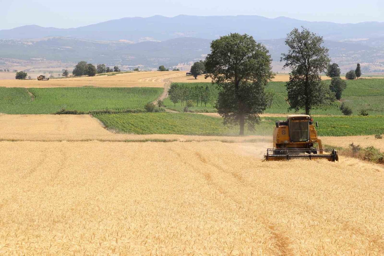 SAMSUN'DA 2023-2025 YILLARI ARASINDA TARIM VE HAYVANCILIK BAŞTA OLMAK ÜZERE ÇEŞİTLİ ALANLARDA...