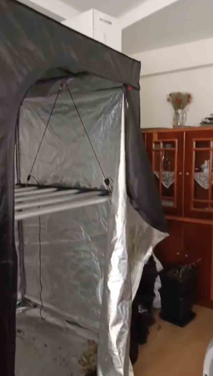 SAMSUN’DA JANDARMA EKİPLERİNCE DÜZENLENEN OPERASYONDA EVİNDE KENEVİR YETİŞTİRDİĞİ BELİRLENEN ŞAHIS...