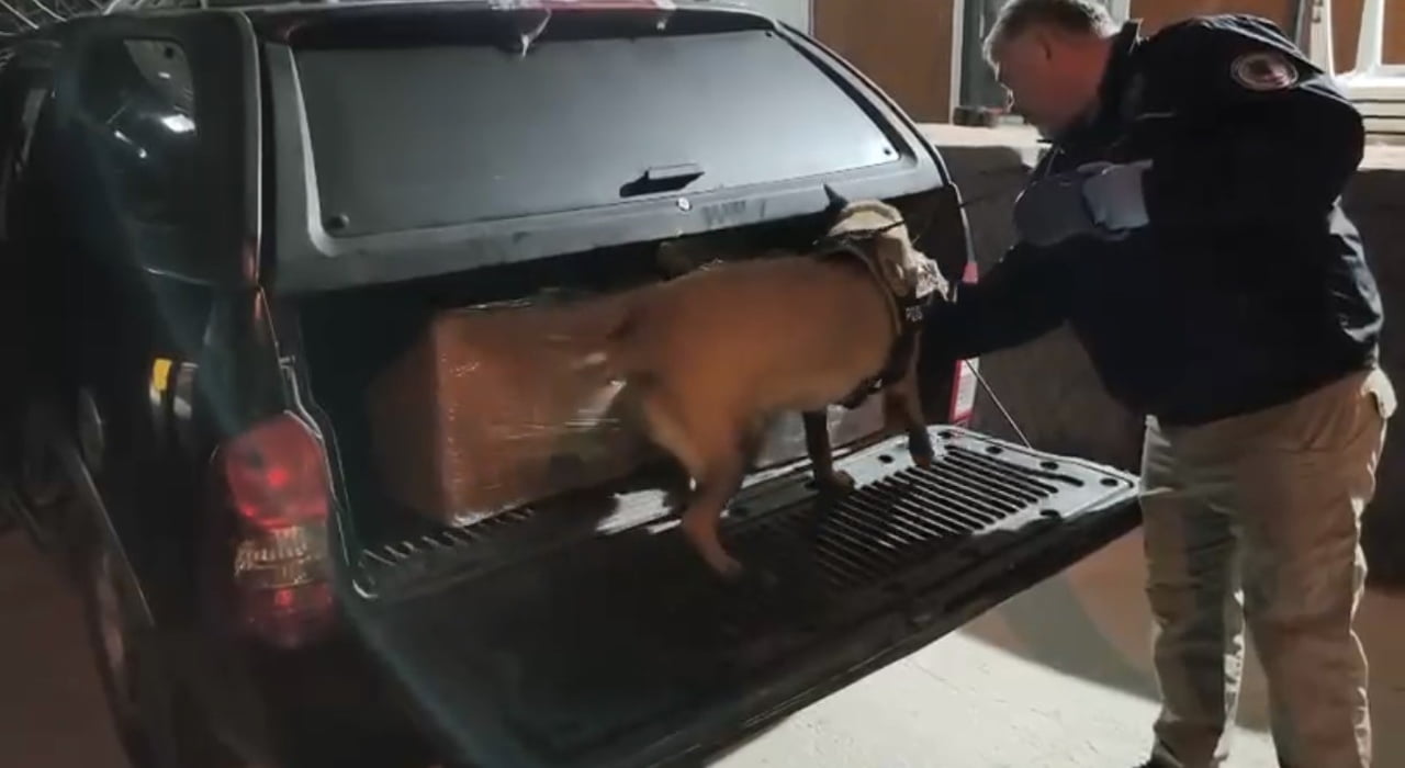 SAMSUN’DA NARKOTİK EKİPLERİNCE DURDURULAN İKİ ARAÇTA YAPILAN ARAMADA KOLİLER İÇİNE GİZLENMİŞ 165...