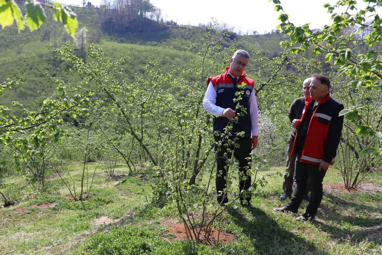 SAMSUN İL TARIM VE ORMAN MÜDÜRLÜĞÜ TARAFINDAN 2021 YILINDA HAYATA GEÇİRİLEN ÖRNEK BAHÇE PROJELERİ...