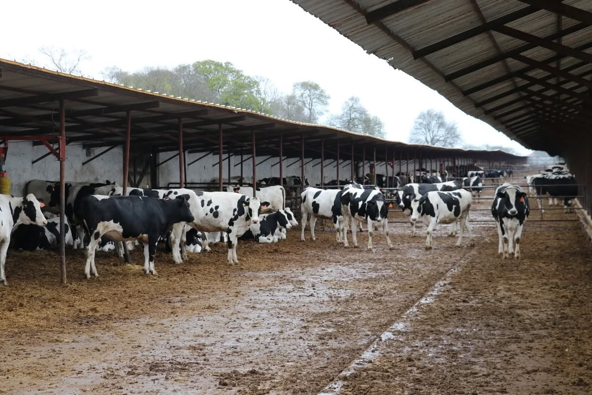 SAMSUN İL TARIM VE ORMAN MÜDÜRÜ KEMAL YILMAZ, BAFRA’DA FAALİYET GÖSTEREN VE ORGANİK ÜRETİM YAPAN...